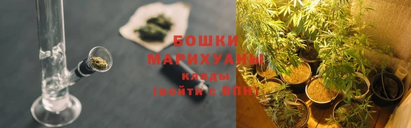 мяу мяу мука Надым
