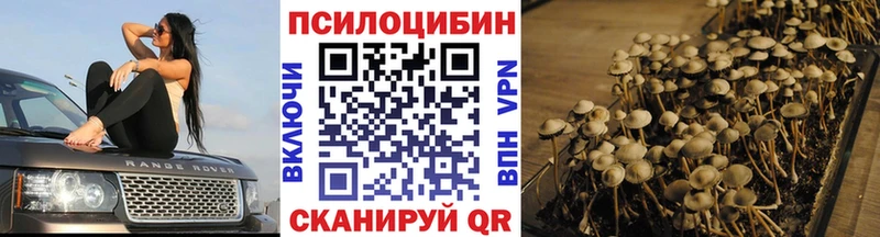 Псилоцибиновые грибы Psilocybine cubensis  купить   Почеп 